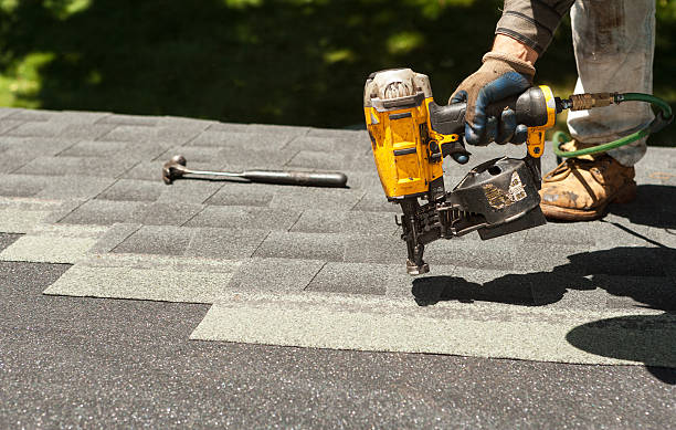 Best Roof Gutter Cleaning  in Quincy, CA